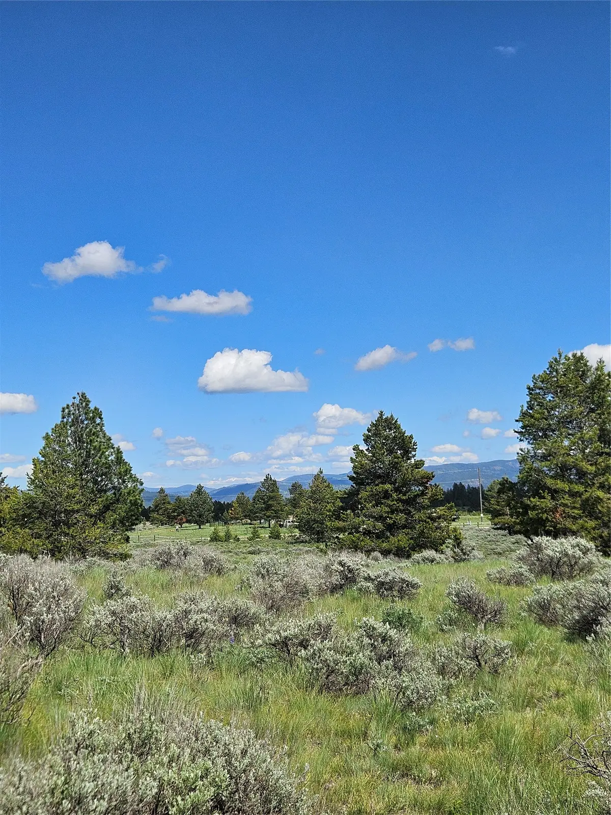 1720 High Chapparal Drive, Lincoln, MT 59639 - #1