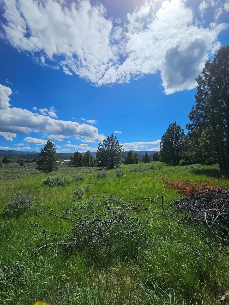1720 High Chapparal Drive, Lincoln, MT 59639 - #3