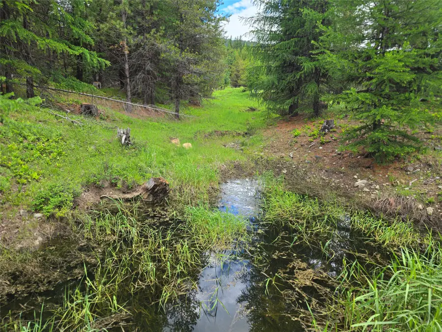 28341 Yaak River Road, Troy, MT 59935 - #2