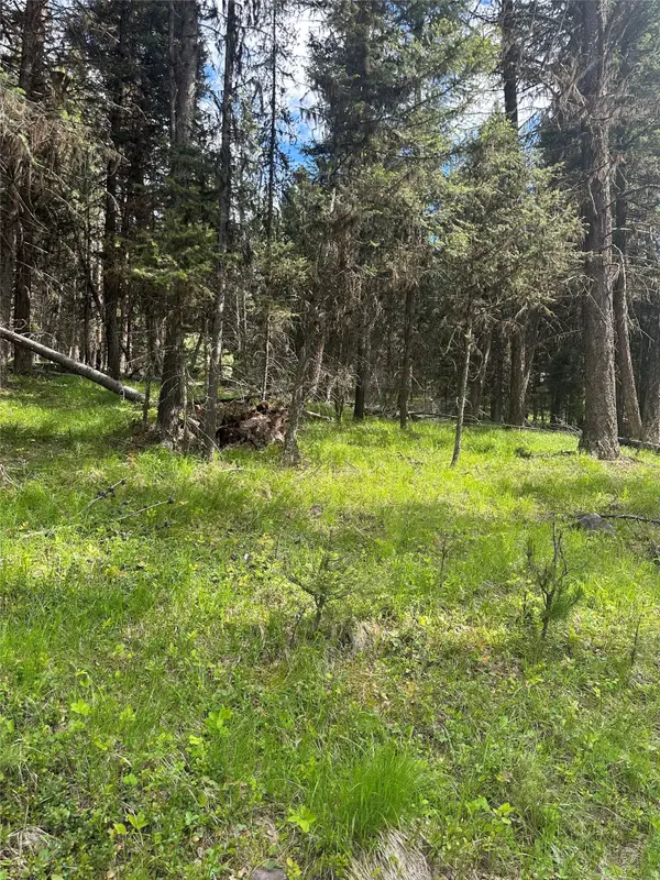 1274 Grandview Drive, Seeley Lake, MT 59868