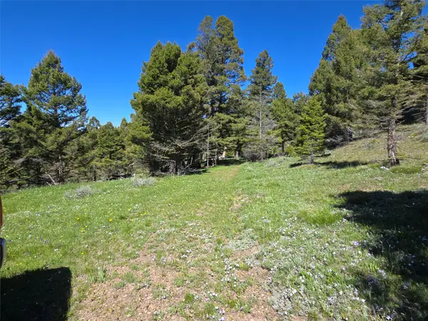 Lot 26 Westridge Road, Helmville, MT 59843