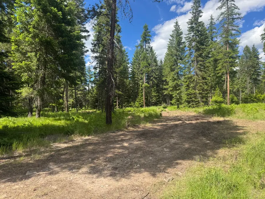 NHN Big Fir Drive, Thompson Falls, MT 59873 - #2