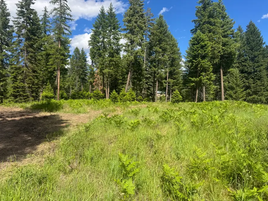 NHN Big Fir Drive, Thompson Falls, MT 59873 - #3