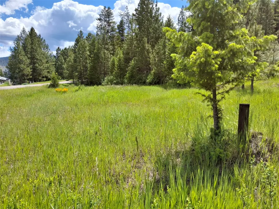 Lot 5 Tami Drive E, Superior, MT 59872 - #3
