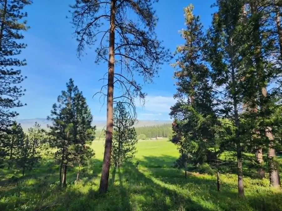NHN Old Hot Springs Road, Hot Springs, MT 59845 - #2