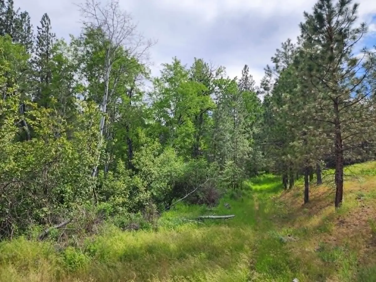 NHN Old Hot Springs Road, Hot Springs, MT 59845 - #1