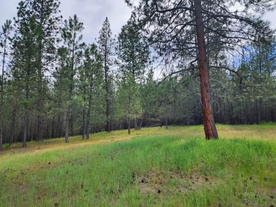 NHN Old Hot Springs Road, Hot Springs, MT 59845 - #2