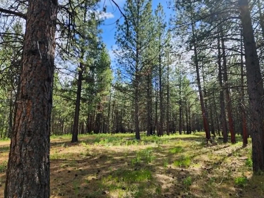 NHN Old Hot Springs Road, Hot Springs, MT 59845 - #3