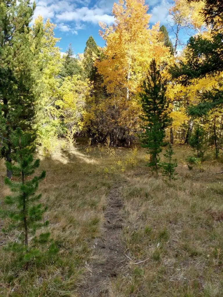 NHN Hoover Creek Road, Helmville, MT 59843 - #2