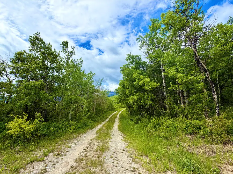 TBD Skyline Drive, Babb, MT 59411 - #3
