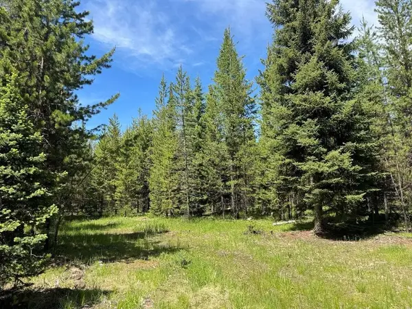 7930 Boy Scout Road, Seeley Lake, MT 59868