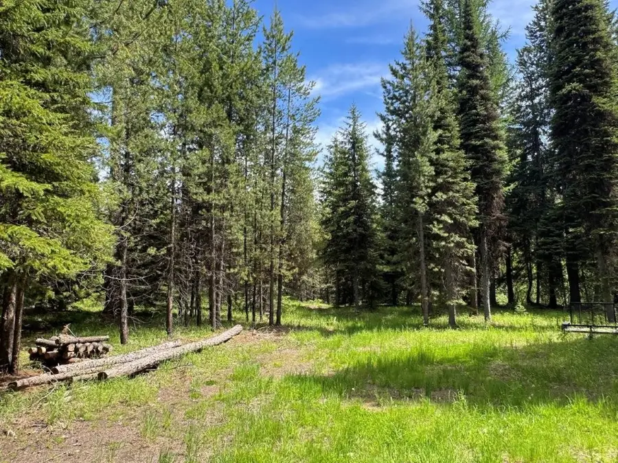 7930 Boy Scout Road, Seeley Lake, MT 59868 - #2