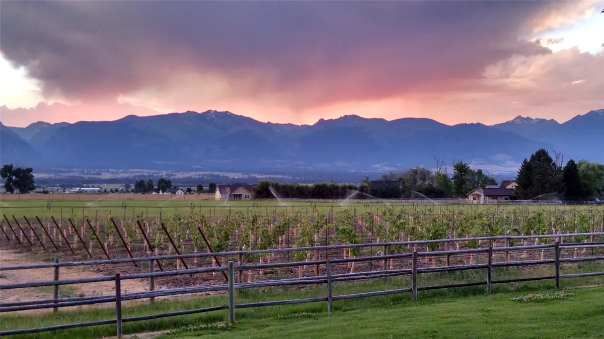 Nhn - Lot B Mountain View Orchard Road, Corvallis, MT 59828 - #1