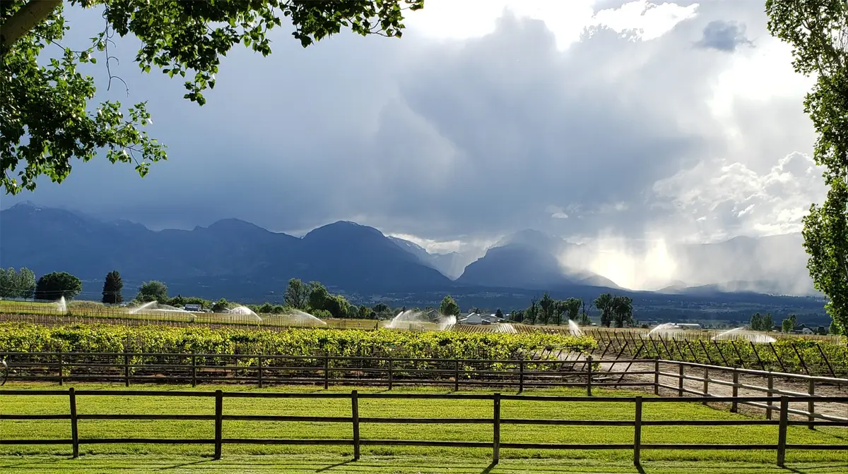 Nhn - Lot A Mountain View Orchard Road, Corvallis, MT 59828 - #1