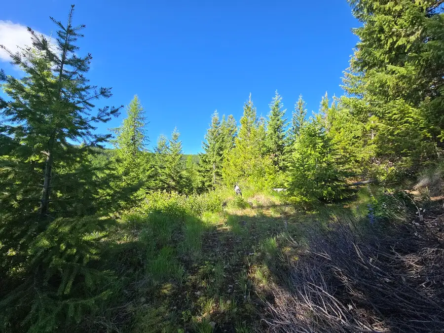 11 Nine Mile Road, Huson, MT 59846 - #2