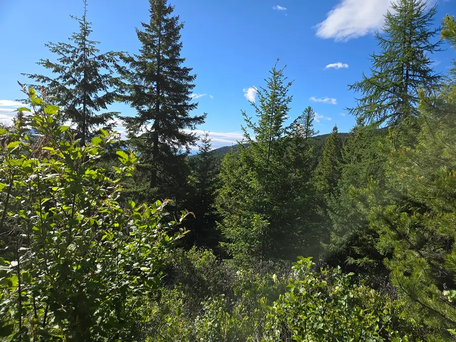 11 Nine Mile Road, Huson, MT 59846 - #3