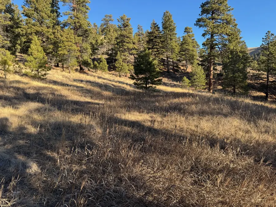 NHN Pryor Creek, Cascade, MT 59421 - #2