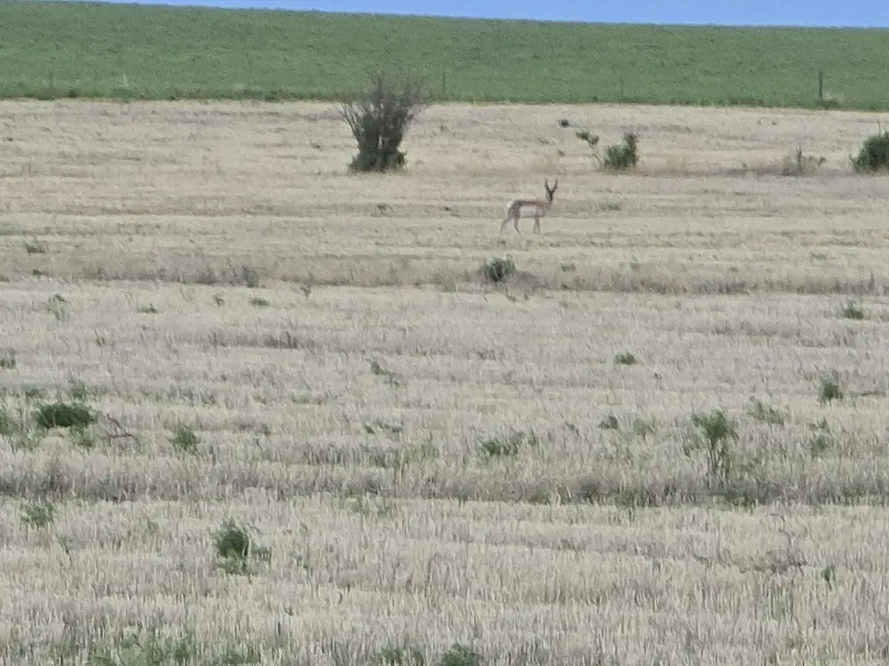 NHN 5th Nw, Choteau, MT 59422 - #1