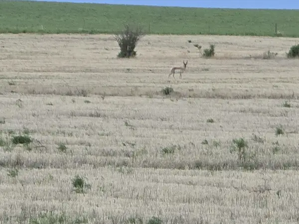 NHN 5th Nw, Choteau, MT 59422