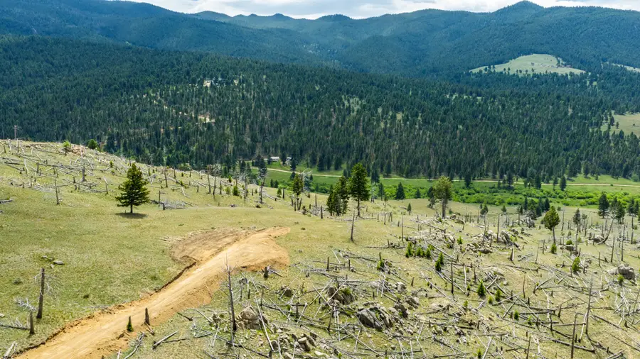 Lot 52 Aspen Valley Ranches, Boulder, MT 59632 - #3