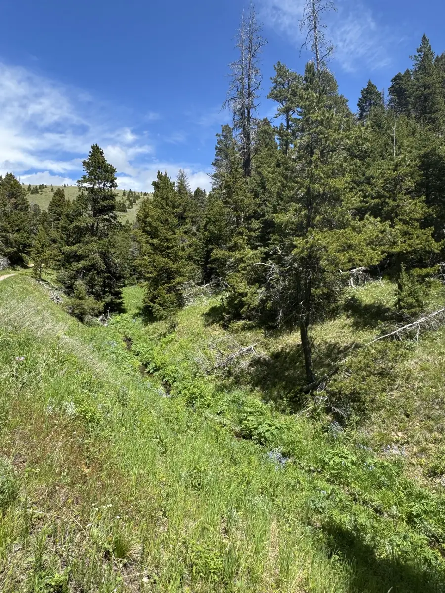 NHN Codette Creek Road, Lincoln, MT 59639 - #3