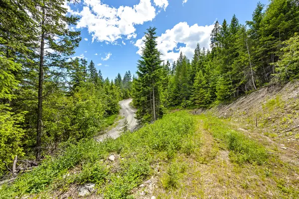 64 Loan Wolf Trail, Lakeside, MT 59922