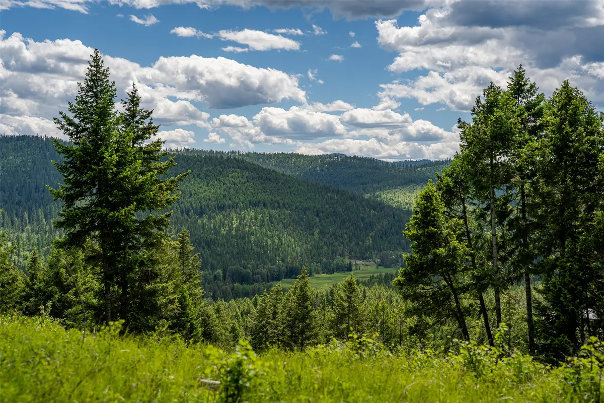 2342 Sirius View, Kalispell, MT 59901 - #1