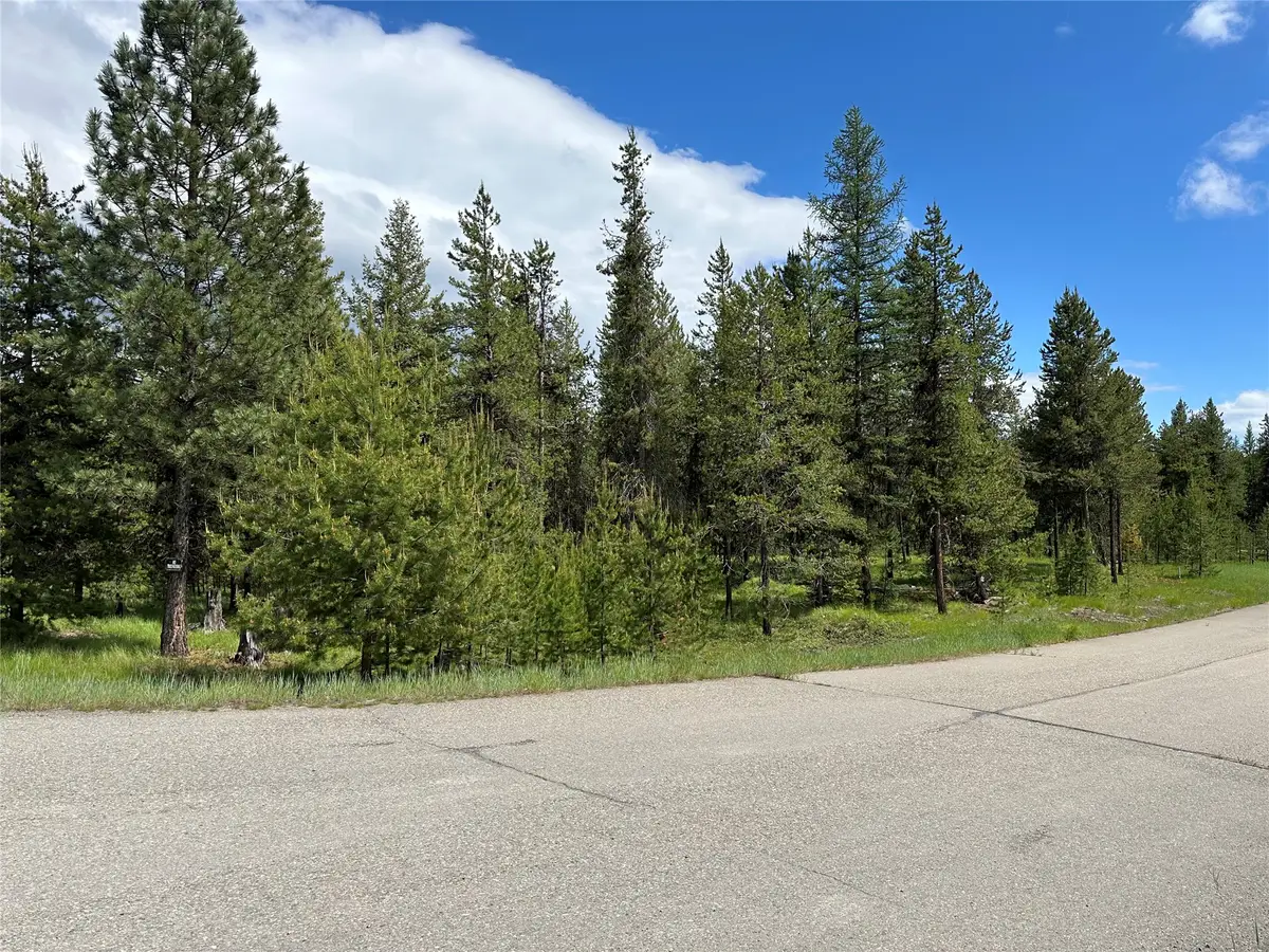 NHN Lot 42 Loon Connector Road, Libby, MT 59923 - #1