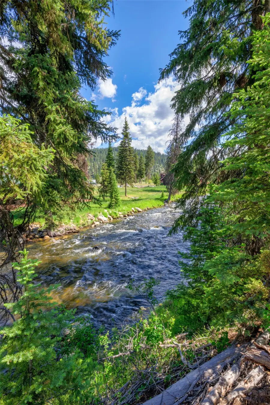 NHN Happy Acres Lane, Sula, MT 59871 - #2