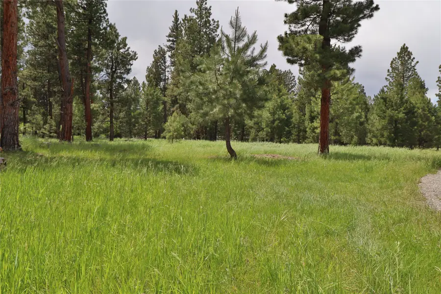 4587 Patterson Loop, Lincoln, MT 59639 - #2