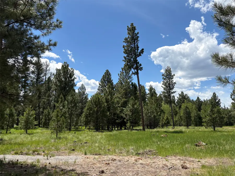4587 Patterson Loop, Lincoln, MT 59639 - #3