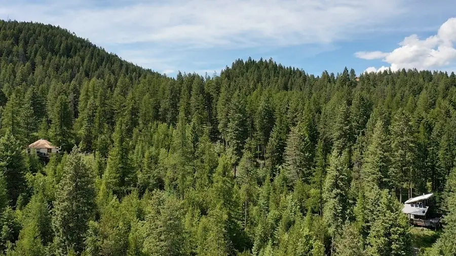458 Haugen Heights, Whitefish, MT 59937 - #3