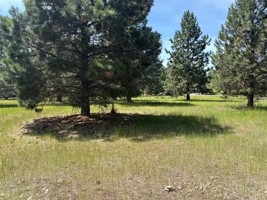 NHN Tumbleweed Trail, Columbia Falls, MT 59912 - #3
