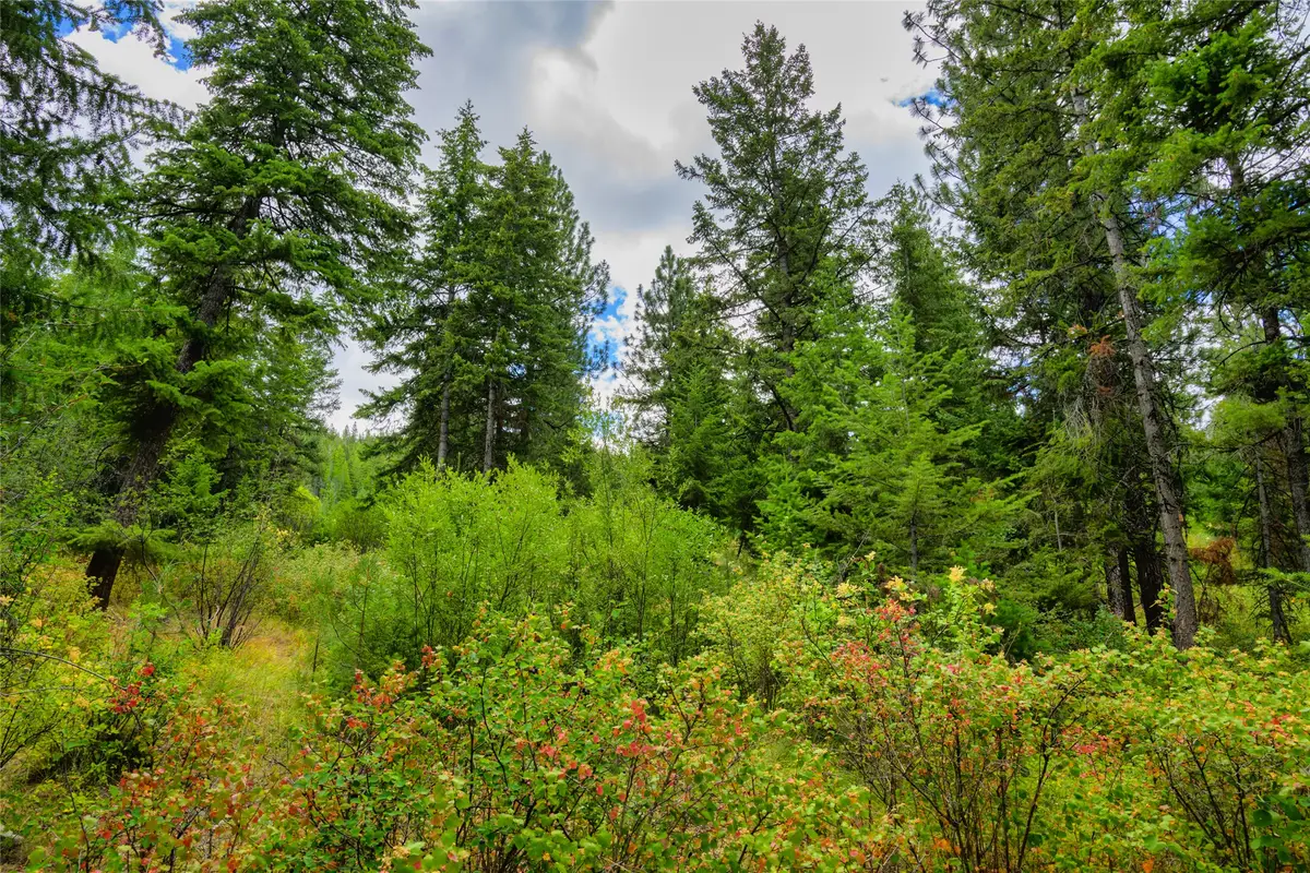 Lot 1 Bighorn Bluff Road, Plains, MT 59859 - #1