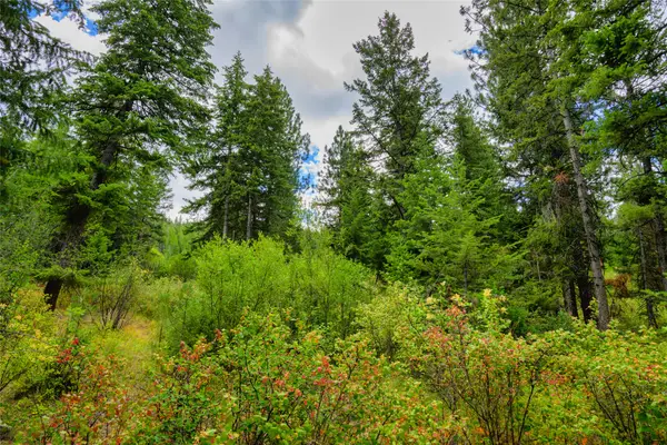 Lot 1 Bighorn Bluff Road, Plains, MT 59859
