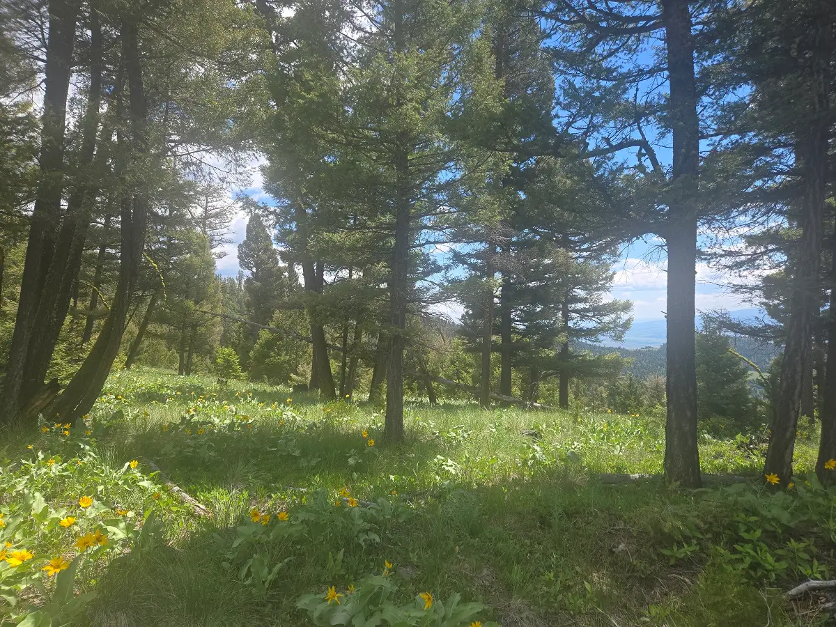 2 Big Sky Ridge Road, Drummond, MT 59832 - #1