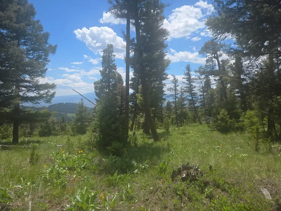 2 Big Sky Ridge Road, Drummond, MT 59832 - #2