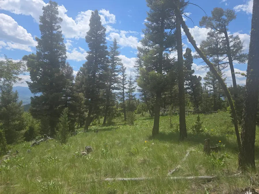 2 Big Sky Ridge Road, Drummond, MT 59832 - #3