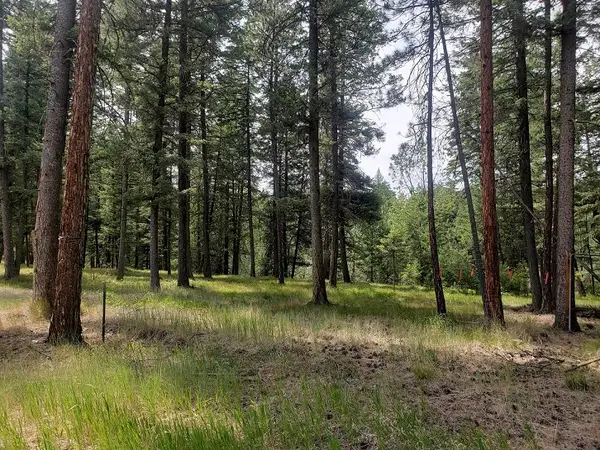 19425 Pond Road, Frenchtown, MT 59834