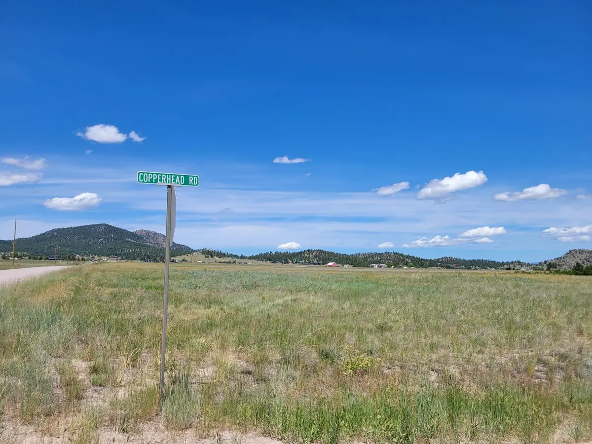 680 Copperhead Road, Helena, MT 59602 - #1