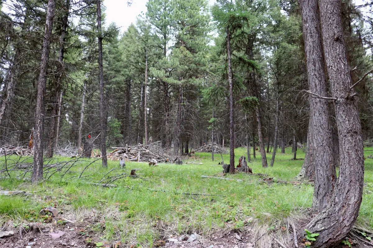 1016 Grandview Drive, Seeley Lake, MT 59868 - #1