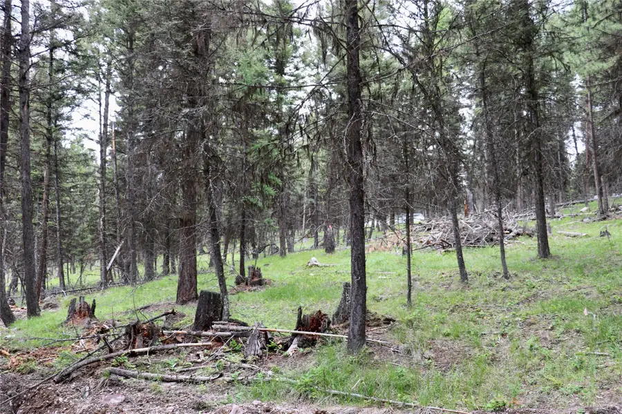 1016 Grandview Drive, Seeley Lake, MT 59868 - #2