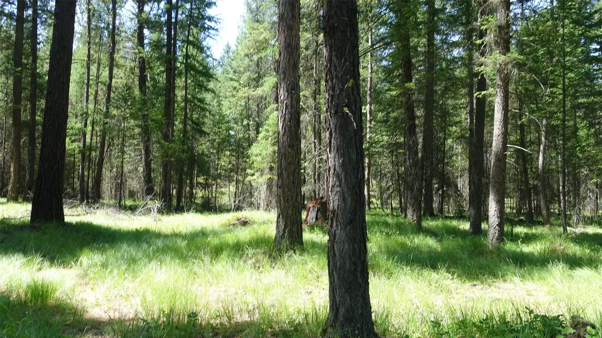 00 Skyline Way, Libby, MT 59923 - #1
