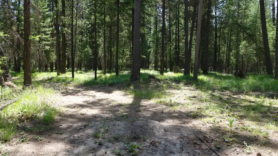 00 Skyline Way, Libby, MT 59923 - #2