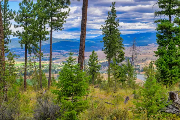 Lots 20 & 23 Bighorn Bluff Road, Plains, MT 59859