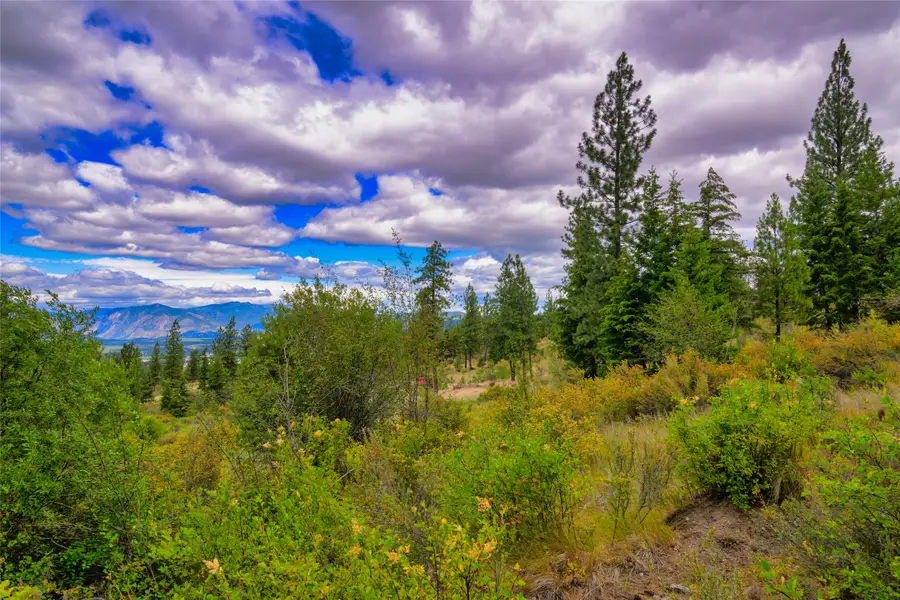 Lots 20 & 23 Bighorn Bluff Road, Plains, MT 59859 - #2