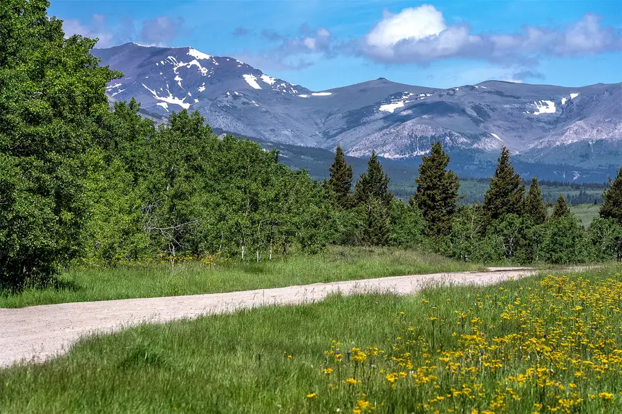 NHN Heart Butte Cutoff Road, East Glacier Park, MT 59434 - #2