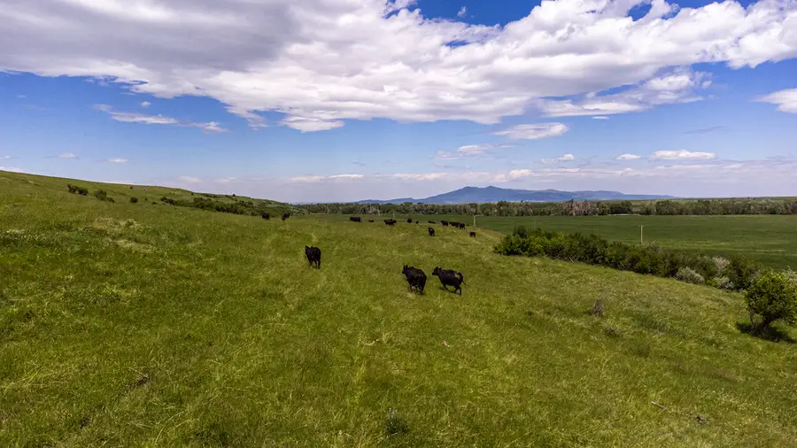 6058 Cottonwood Creek Road, Lewistown, MT 59457 - #2