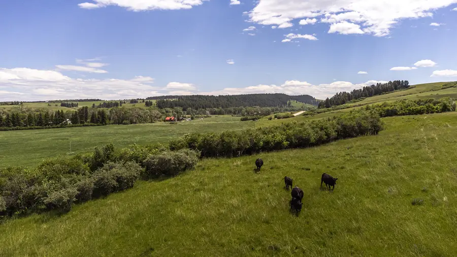 6058 Cottonwood Creek Road, Lewistown, MT 59457 - #3