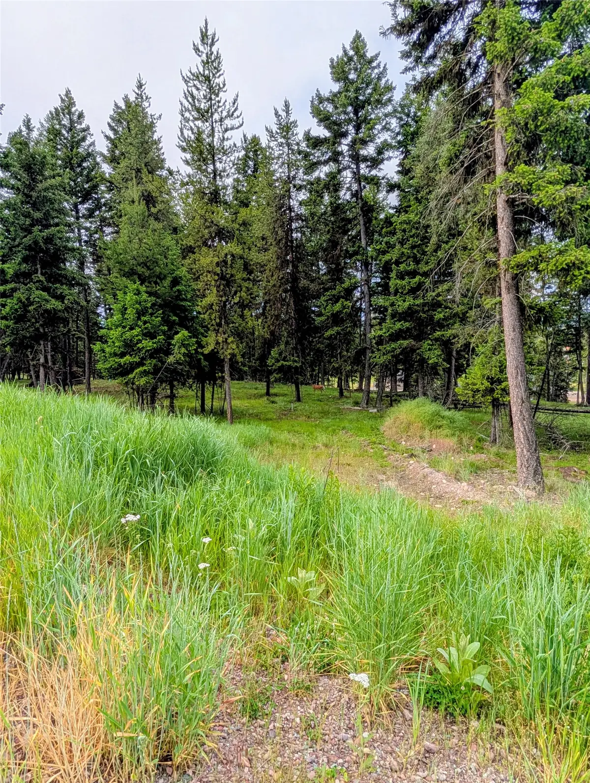 304 Seclusion Point, Seeley Lake, MT 59868 - #1